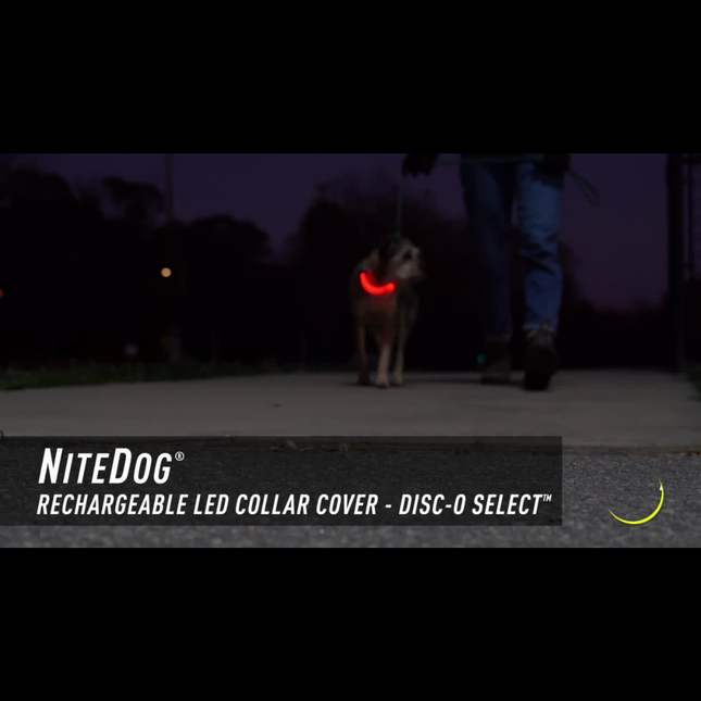 Nite Ize NiteDog® Rechargeable LED Collar Cover - Disc-O Select™