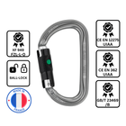 Petzl AM'D Carabiner - Ball-Lock
