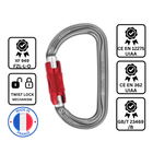 Petzl AM'D Carabiner - Twist-Lock