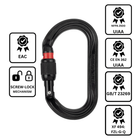 Petzl OXAN Carabiner - Screw-Lock - Black