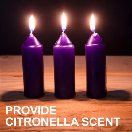 UCO Gear 9-Hour Citronella Candle - Pack of 3