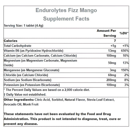 Hammer Endurolytes Fizz Electrolyte Drink Tablets