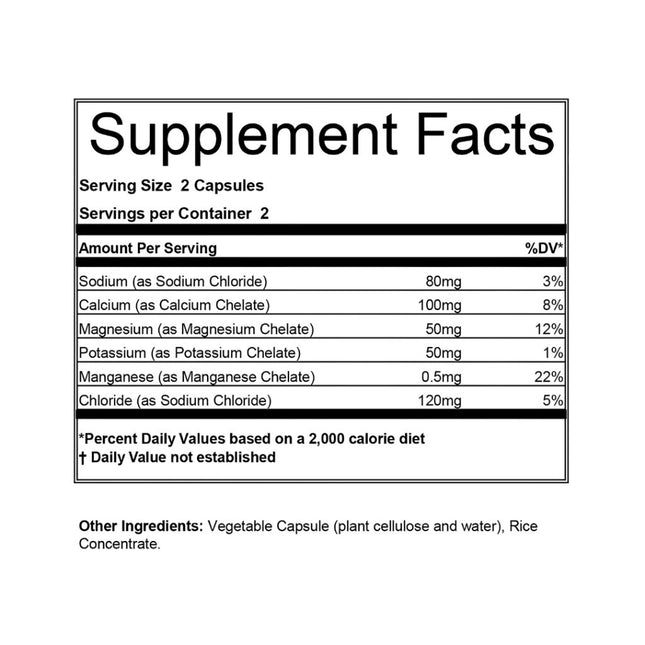 Hammer Endurolytes Electrolyte Capsules - 120-count