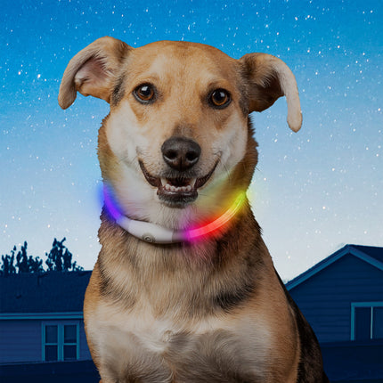 Nite Ize NiteHowl® Mini Rechargeable LED Safety Necklace - Disc-O Select™